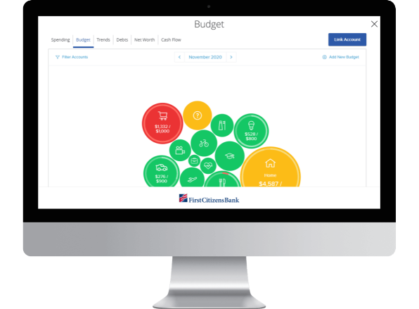 computer monitor displaying a Ed National Bank Budget application