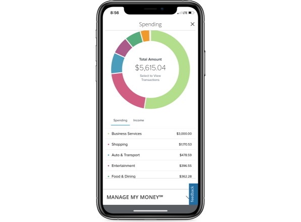 mobile phone displaying Ed National Bank Manage My Money spending circle graph